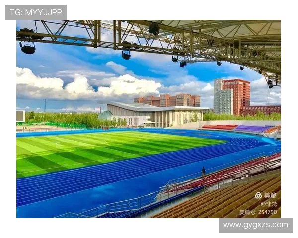 聚焦世界田径赛事劲旅崛起与荣耀征程全景解析实力版图与未来挑战 - 副本 (3) - 副本 - 副本