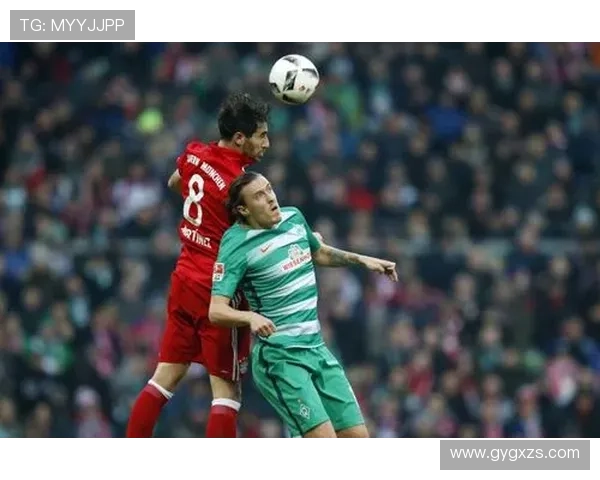 德甲赛事精彩直播全程跟踪,深度分析与赛后点评实时更新